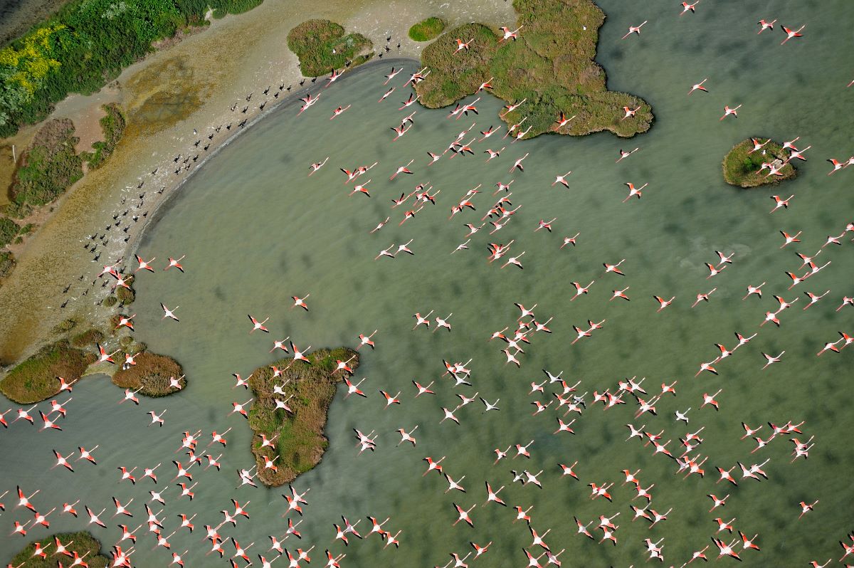 Doñana