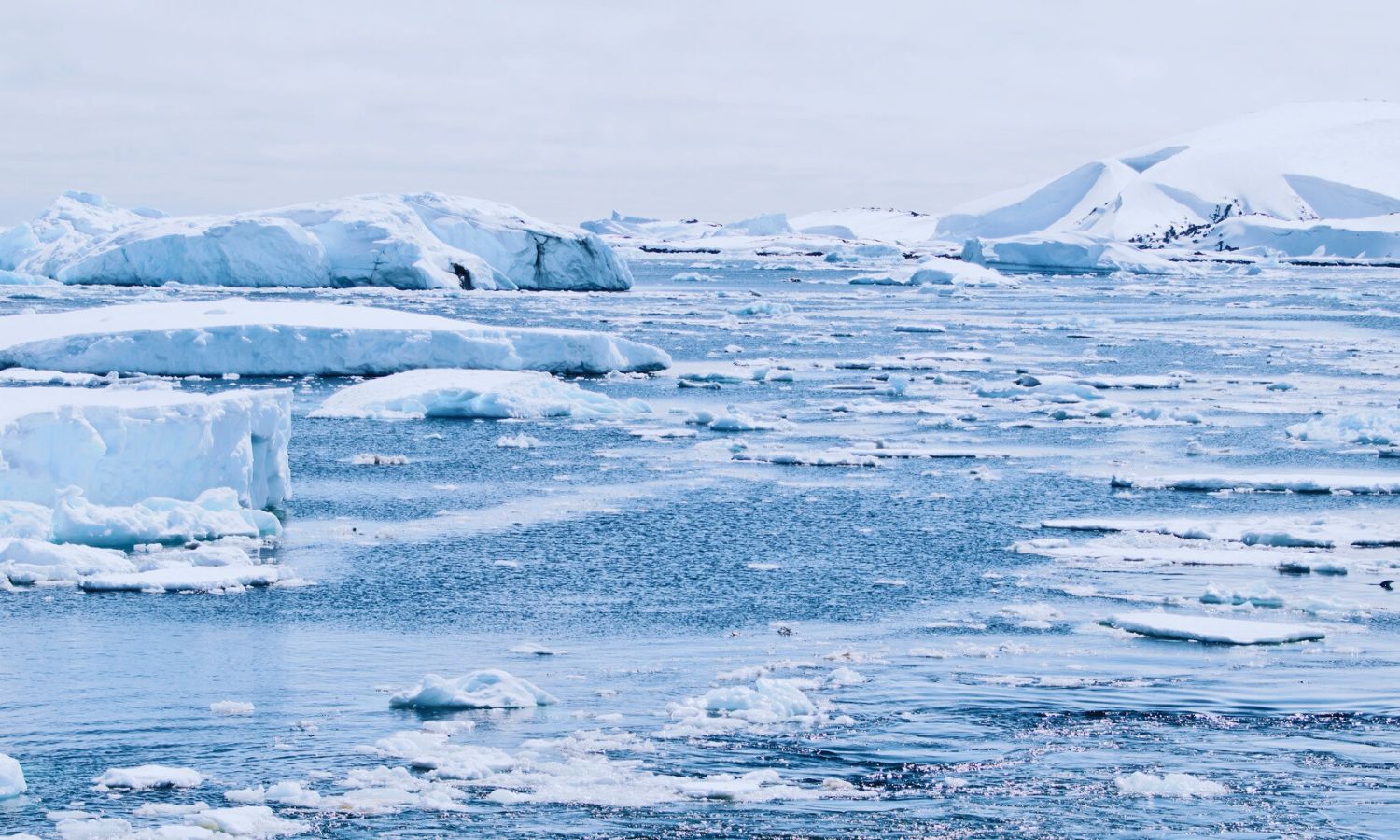 La Antártida, donde el agua de los océanos se hunde