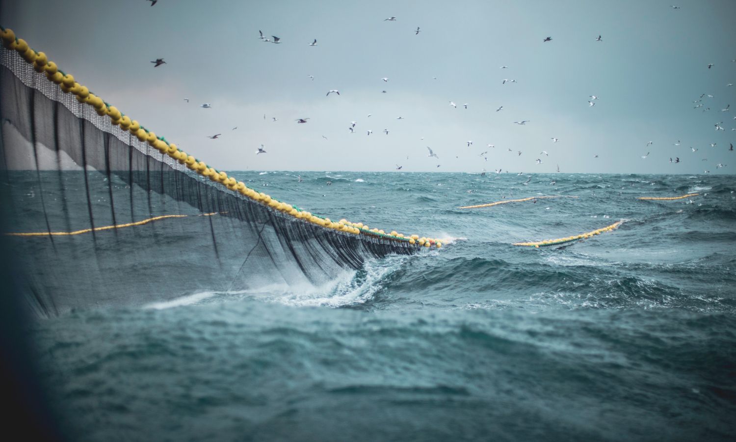 El futuro de la pesca de arrastre en el Mediterráneo