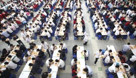 Trabajo decente, un derecho elemental