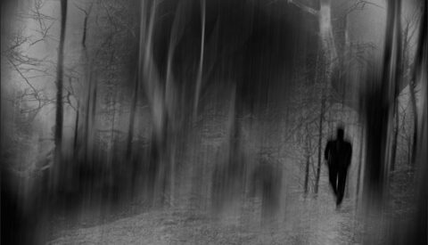 Transparencia: un primer paso