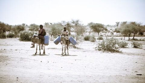 Derechos humanos, empresas y organizaciones