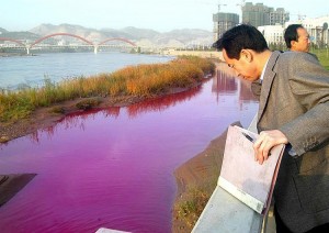 china rio amariyo lanzhou