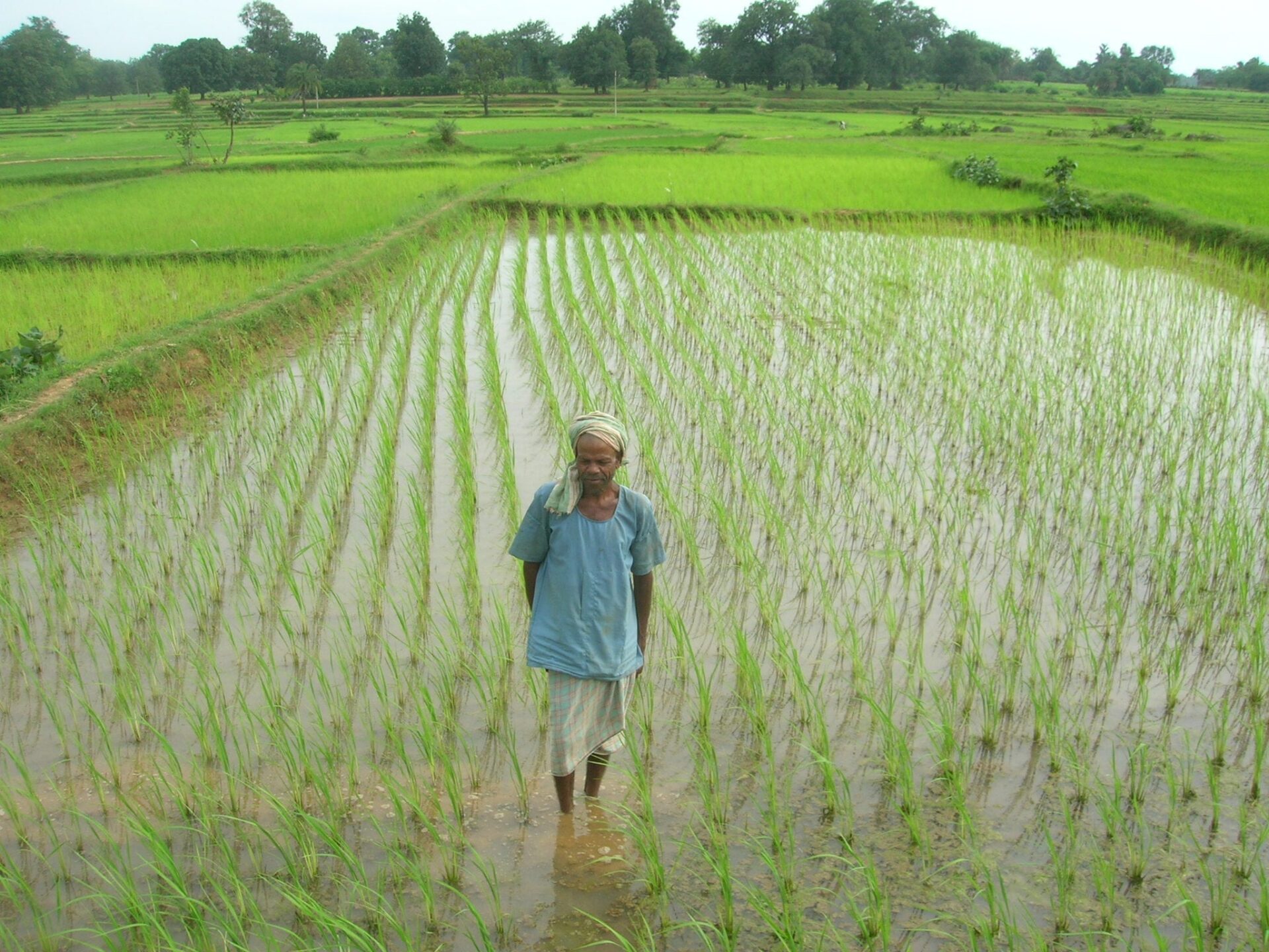10 razones para comprar a productores locales