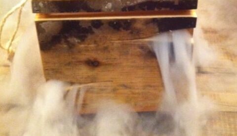 El viaje de los sentidos