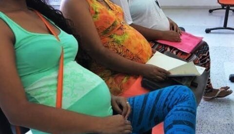 Diez claves para entender en qué consiste el virus Zika