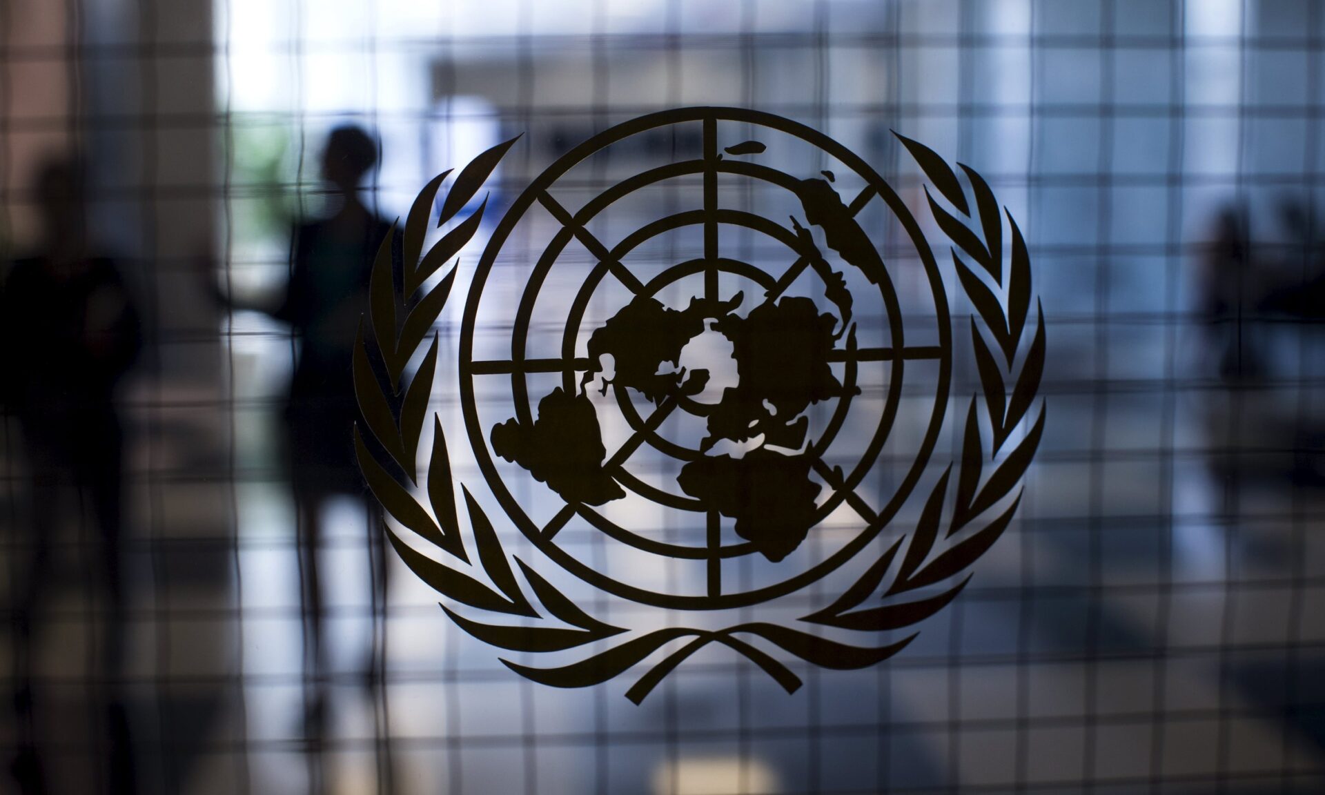 Así puedes influir en Naciones Unidas