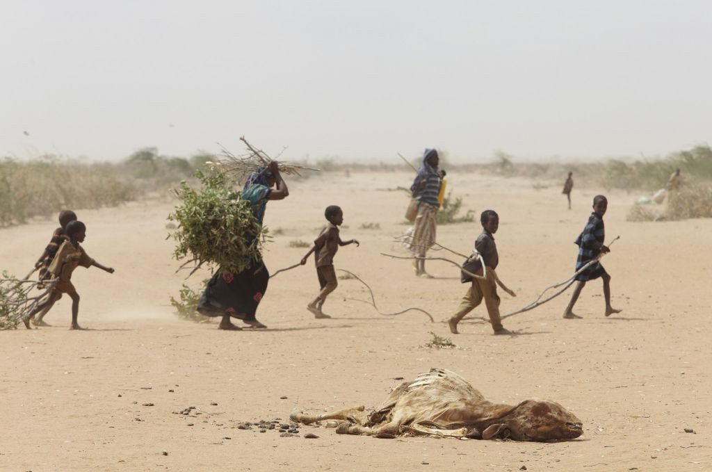 Oxfam_East_Africa_-_A_family_gathers_sticks_and_branches_for_firewood