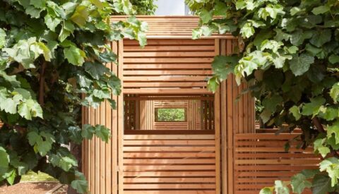 Utopías de la calle