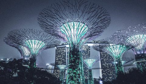 ¿Qué futuro nos espera?