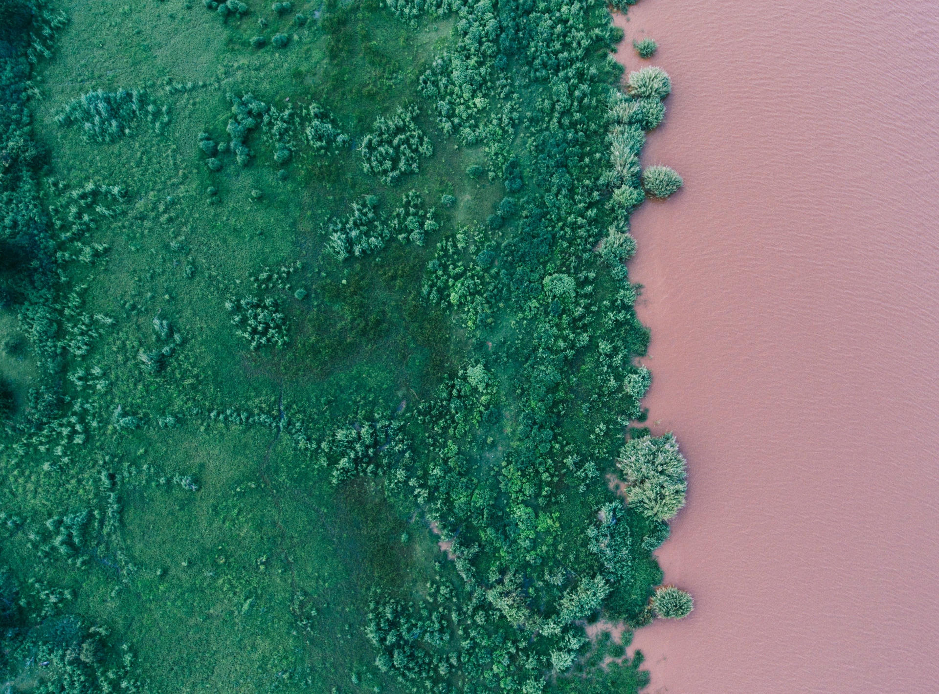 Biodiversidad