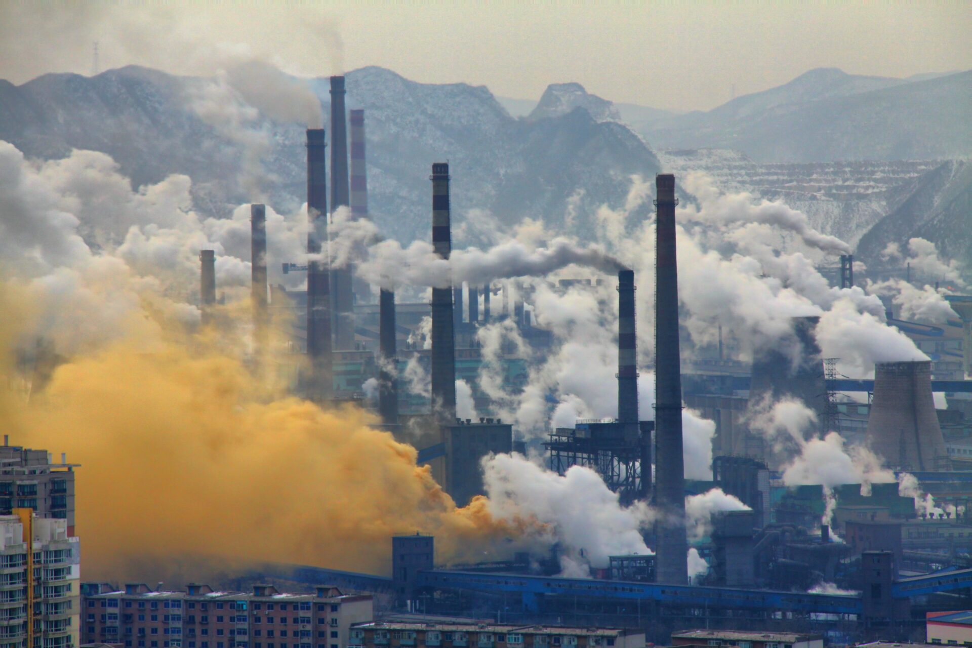 Italo Calvino o la profecía de la contaminación