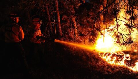 Incendios forestales: quién prende el fuego y qué lo acelera