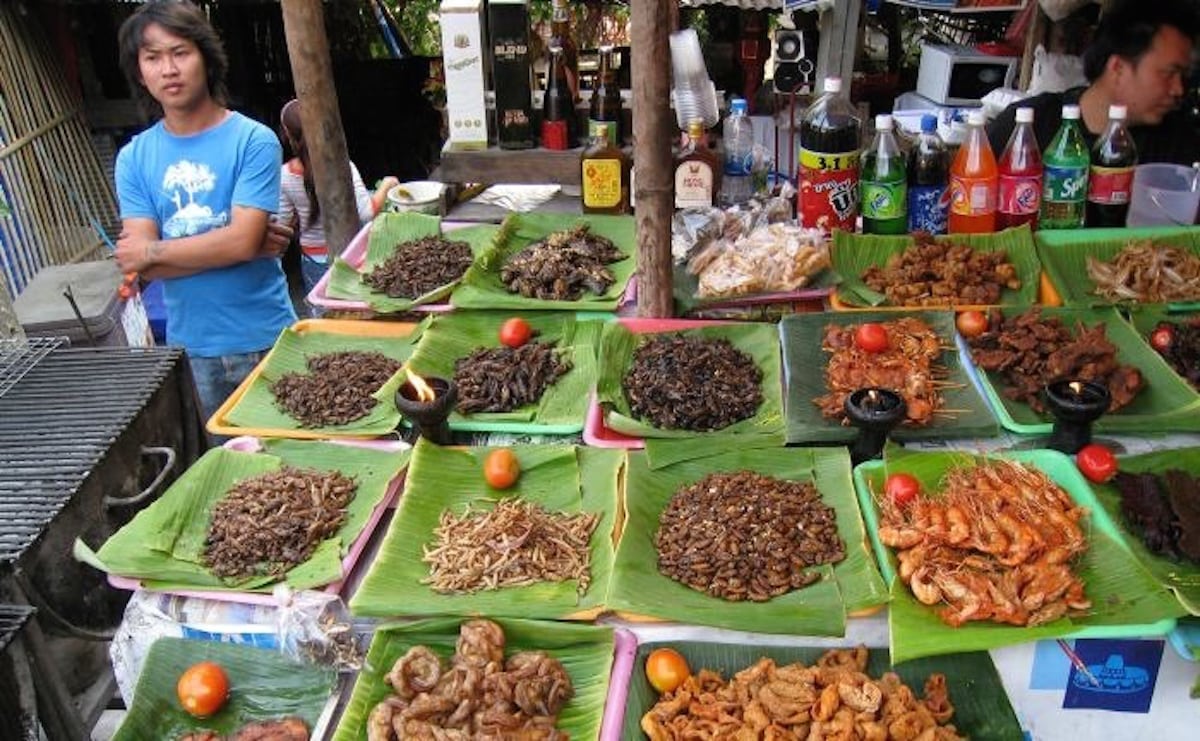 5 razones por las que deberías comer insectos