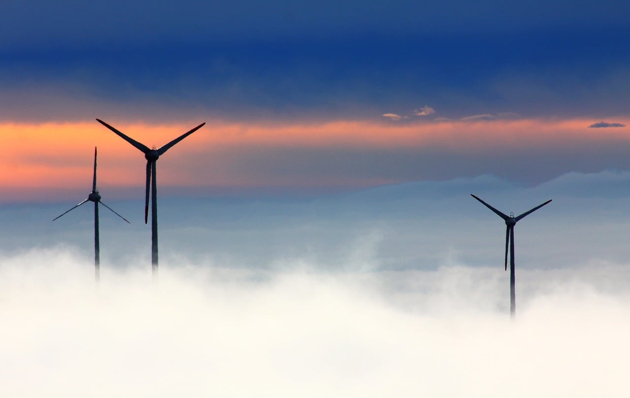 Dime cuáles son tus emisiones CO2 y te diré cómo mitigarlas