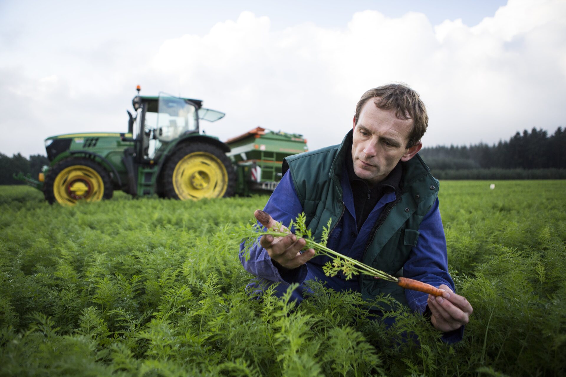 Las marcas con un propósito sostenible crecen más (y más rápido)