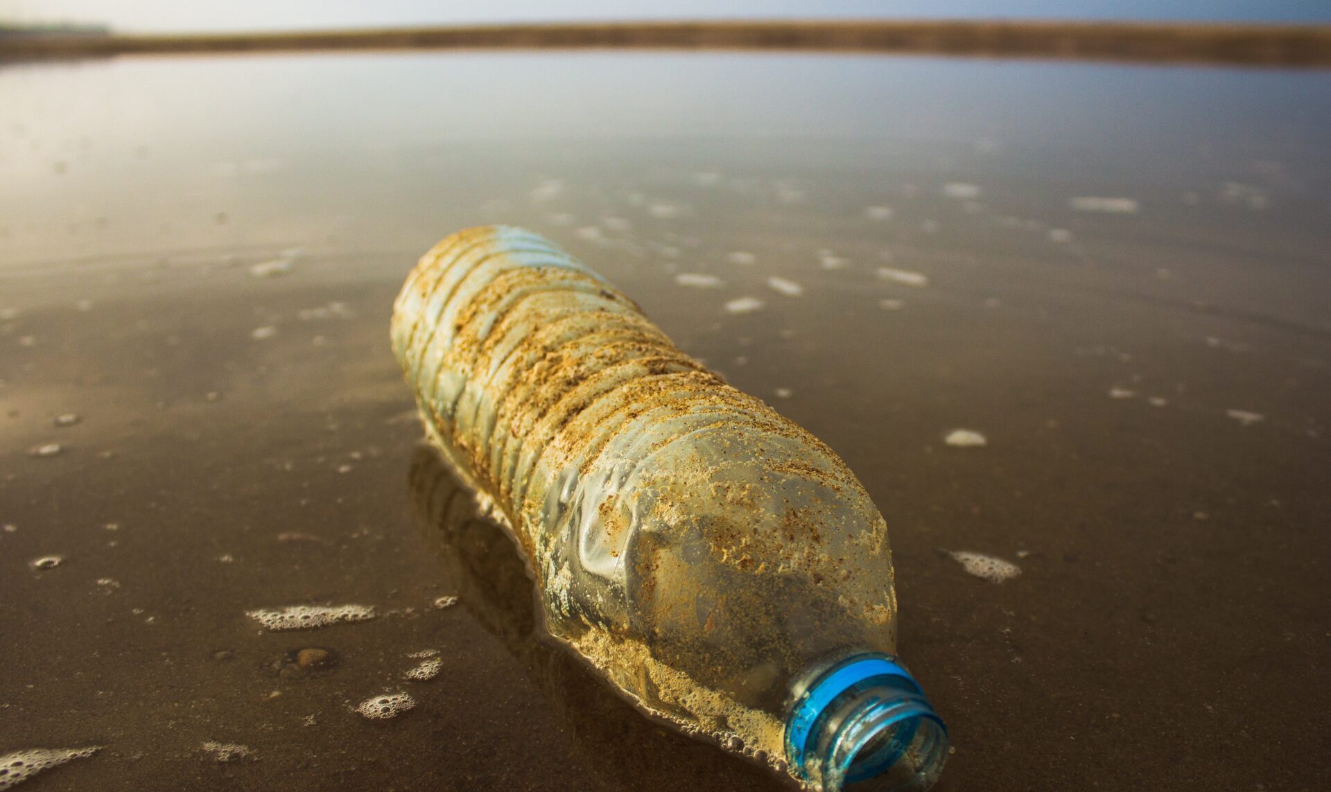 Se buscan aliados para limpiar la basura marina