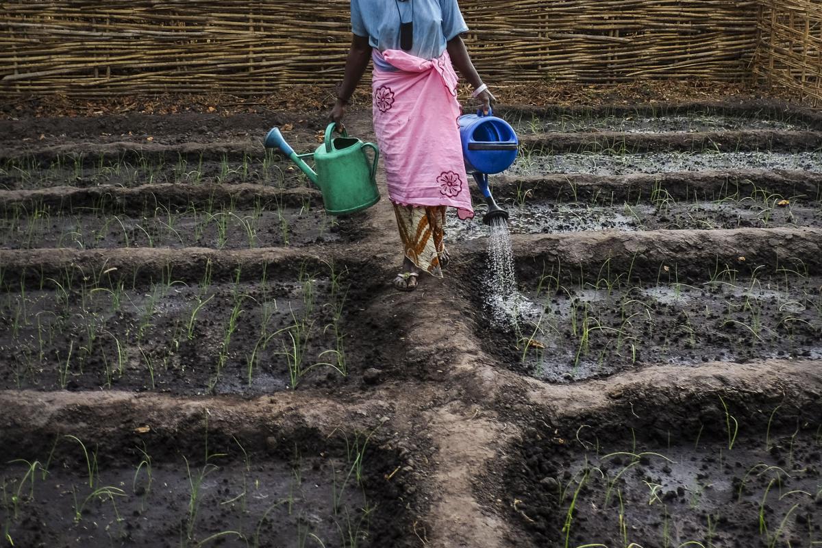 El arroz es la base de la alimentación en Guinea Bissau, uno de los países más pobres del mundo. En 2010, la empresa española AGROGEBA aterrizó en Guinea Bissau y acaparó tierras sin realizar la consulta obligatoria a las comunidades originarias y sin ejecutar un estudio de impacto socioambiental. Esta ocupación dejó, al menos, a 600 personas sin tierra. La mayoría eran mujeres que para subsistir dependían de las tierras monopolizadas por AGROGEBA.