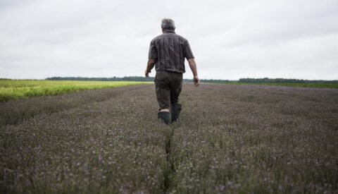 El Silicon Valley de la agricultura sostenible