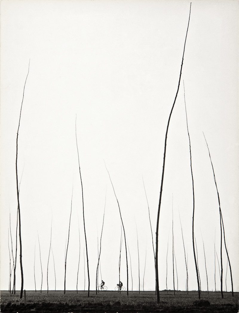 Augusto Cantamessa, Breve Orizzonte, 1955 || © Augusto Cantamessa / Galleria Losano, gentileza de Bruna Genovesio y Patrik Losano