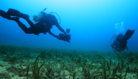 Al rescate del Mediterráneo