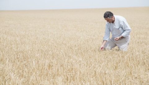 La cerveza que brinda por un mundo mejor