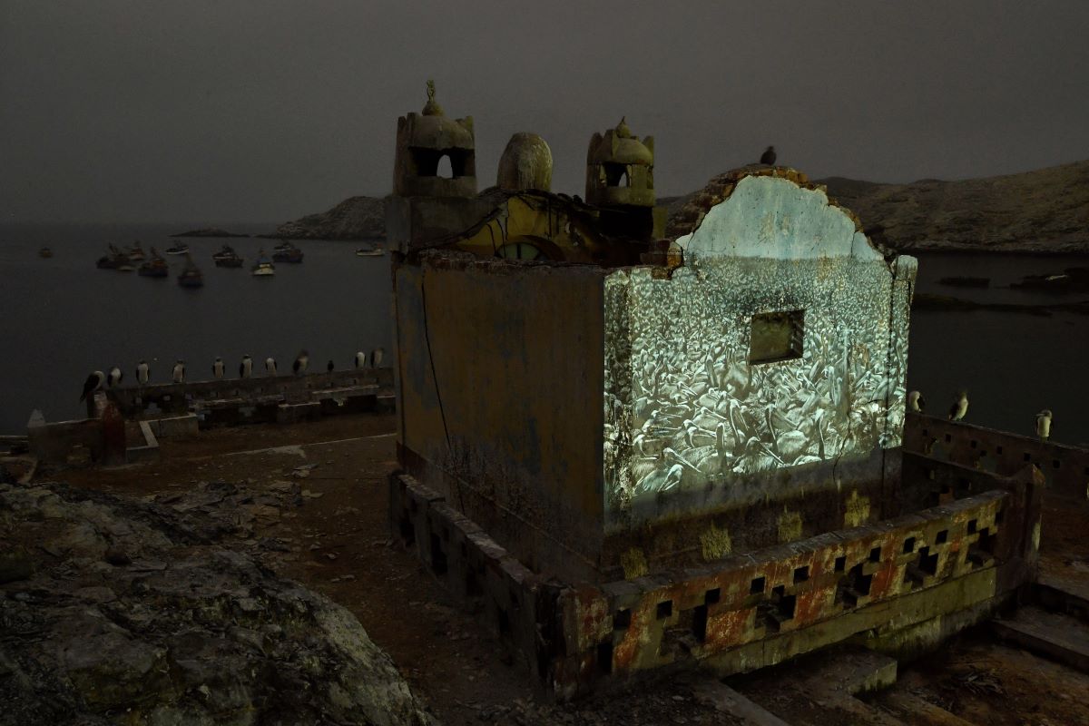 Los fantasmas de Islas Guaneras | Thomas P Peschak, National Geographic