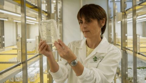 5 desafíos científicos liderados por mujeres, premio L’Oréal-Unesco For Women in Science 2019