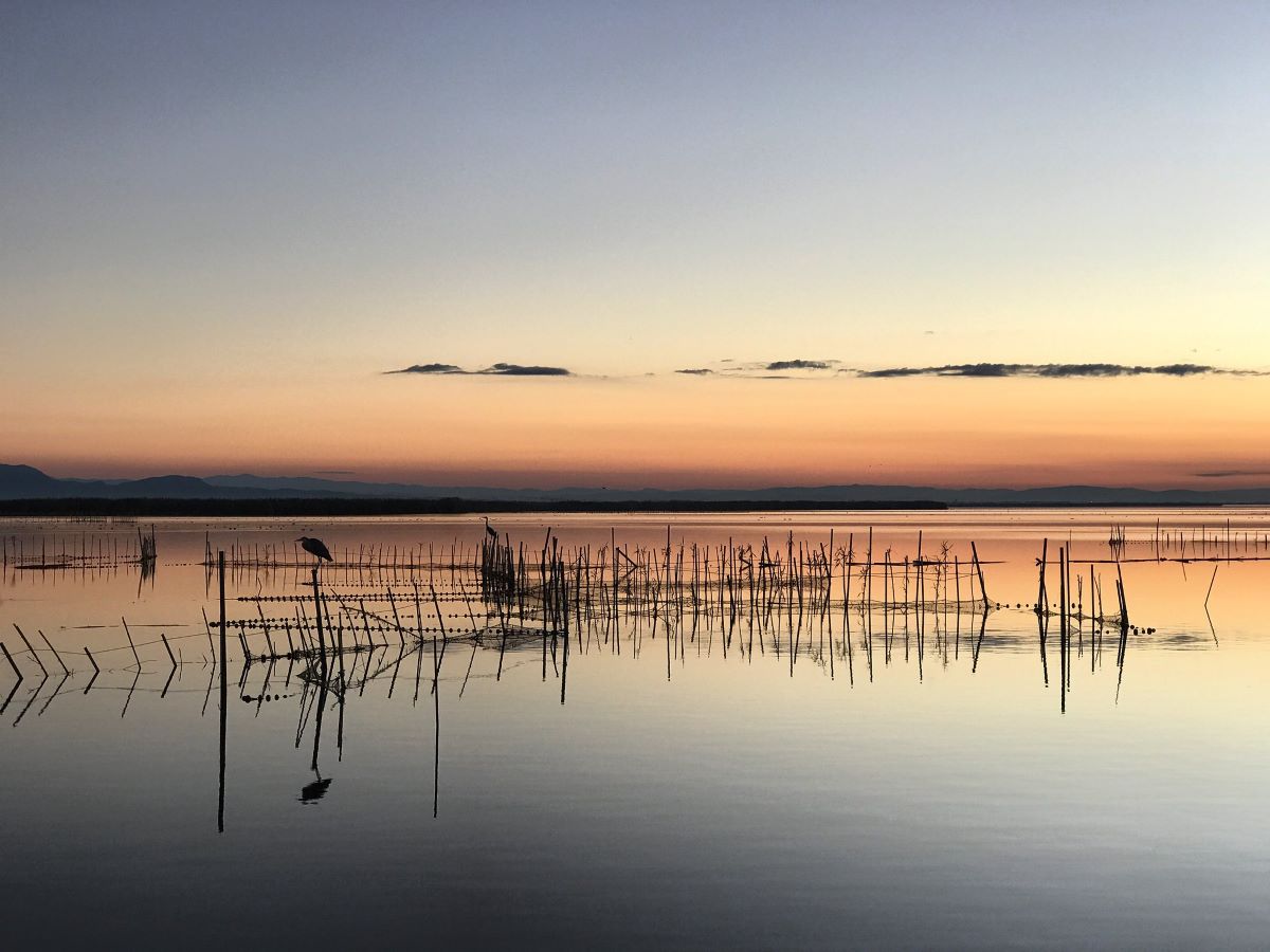 Brindando por una Albufera más sostenible