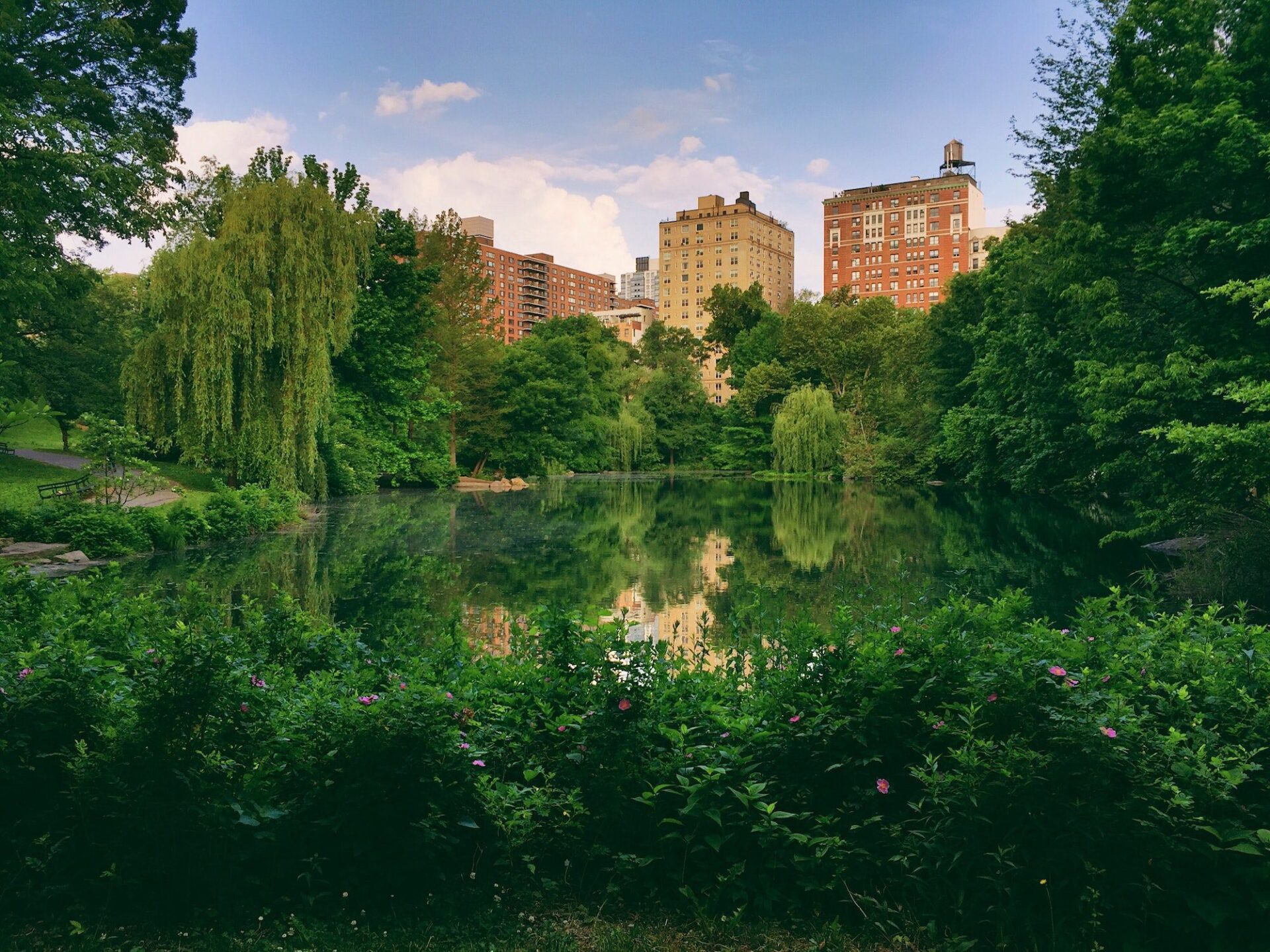 Bosques urbanos, imprescindibles contra el cambio climático