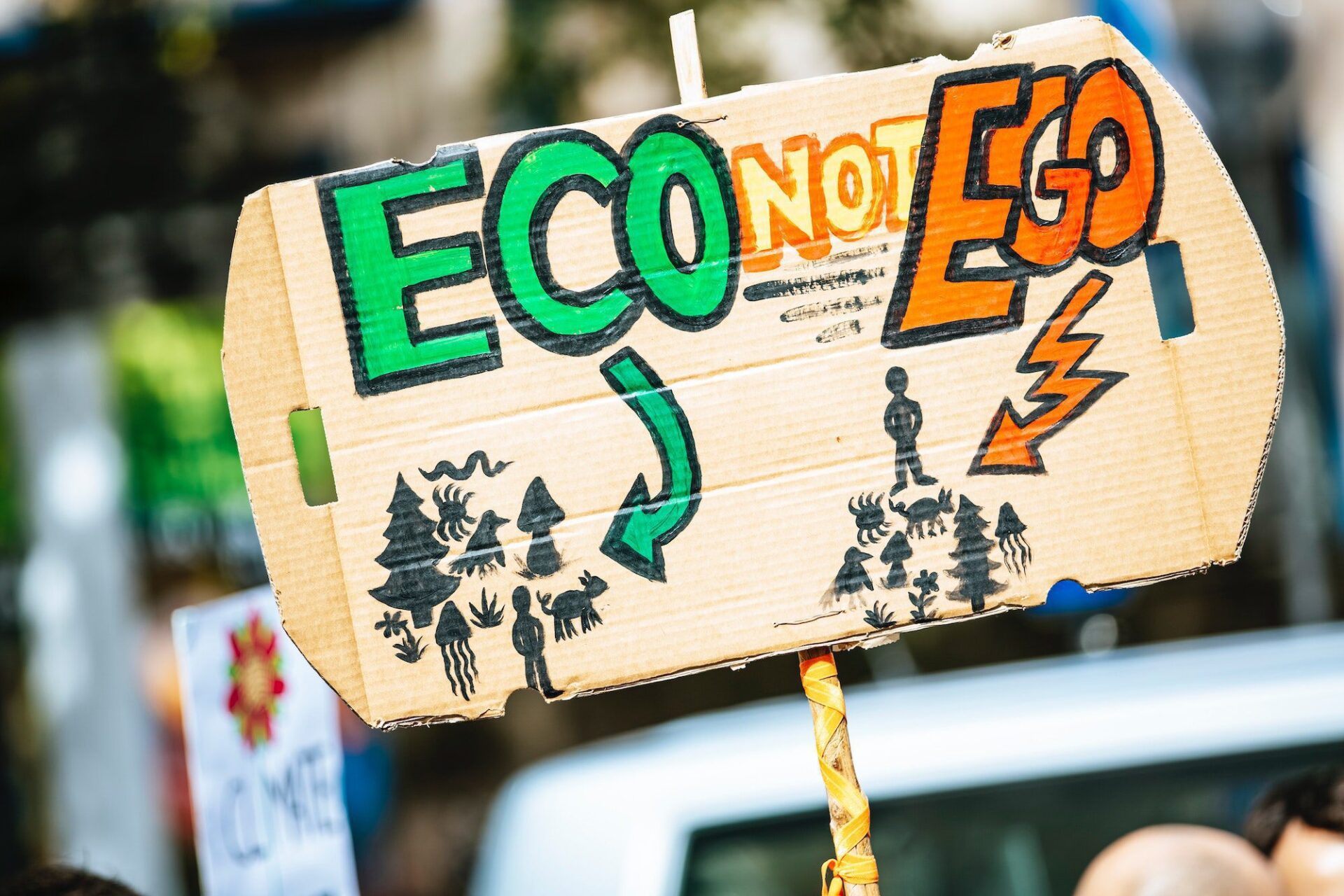 Ocho cosas que puedes hacer tú para luchar contra el cambio climático