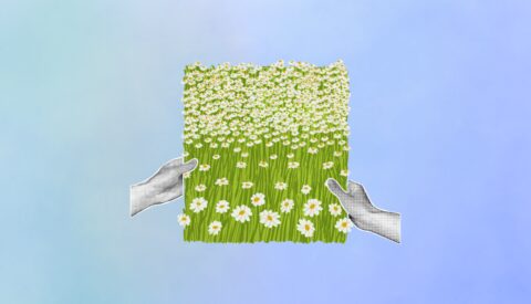 Cuando la naturaleza tiene la respuesta