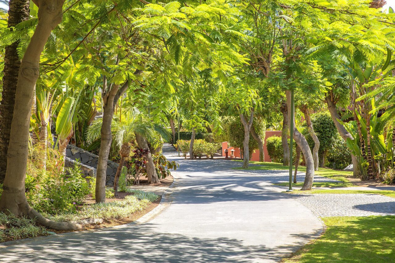 El (eco)oasis de Tenerife