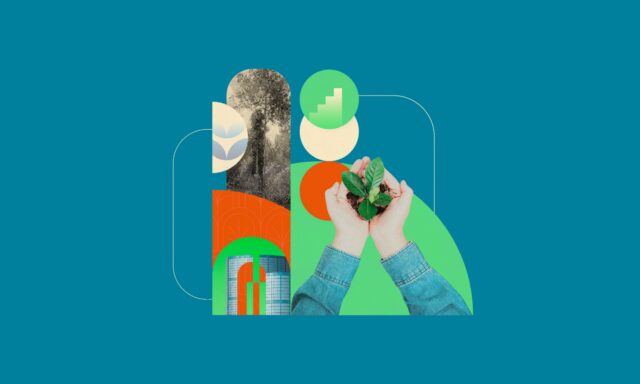 Regenerar los bosques para sostener el futuro