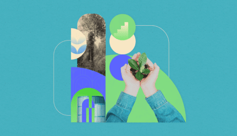 Protegido: Regenerar los bosques para sostener el futuro