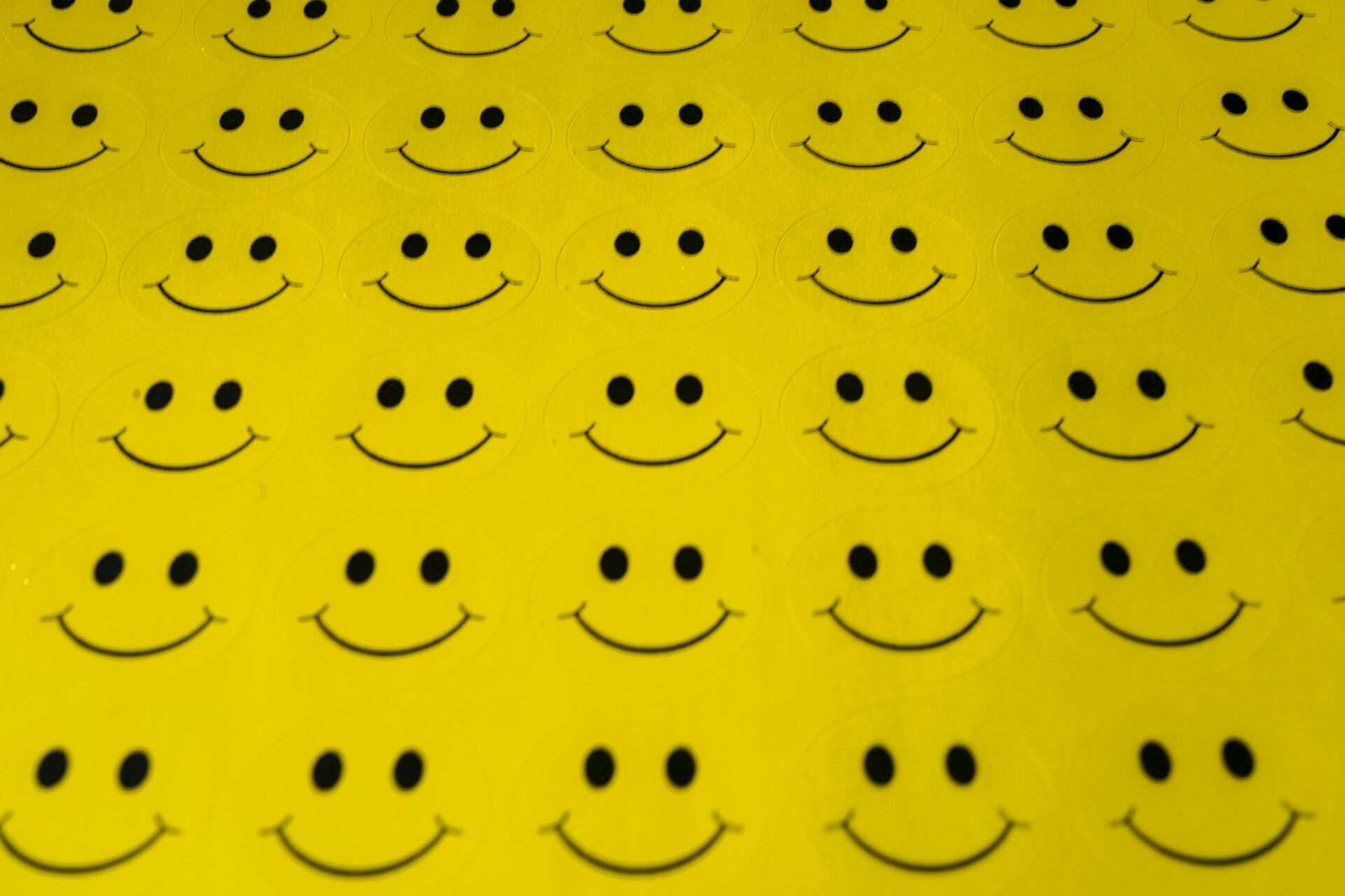 ¿Cómo se conquista la felicidad?