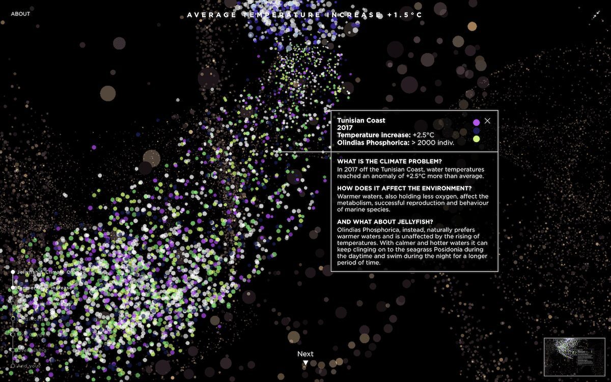 cambio climático Cristina Tarquini medusas