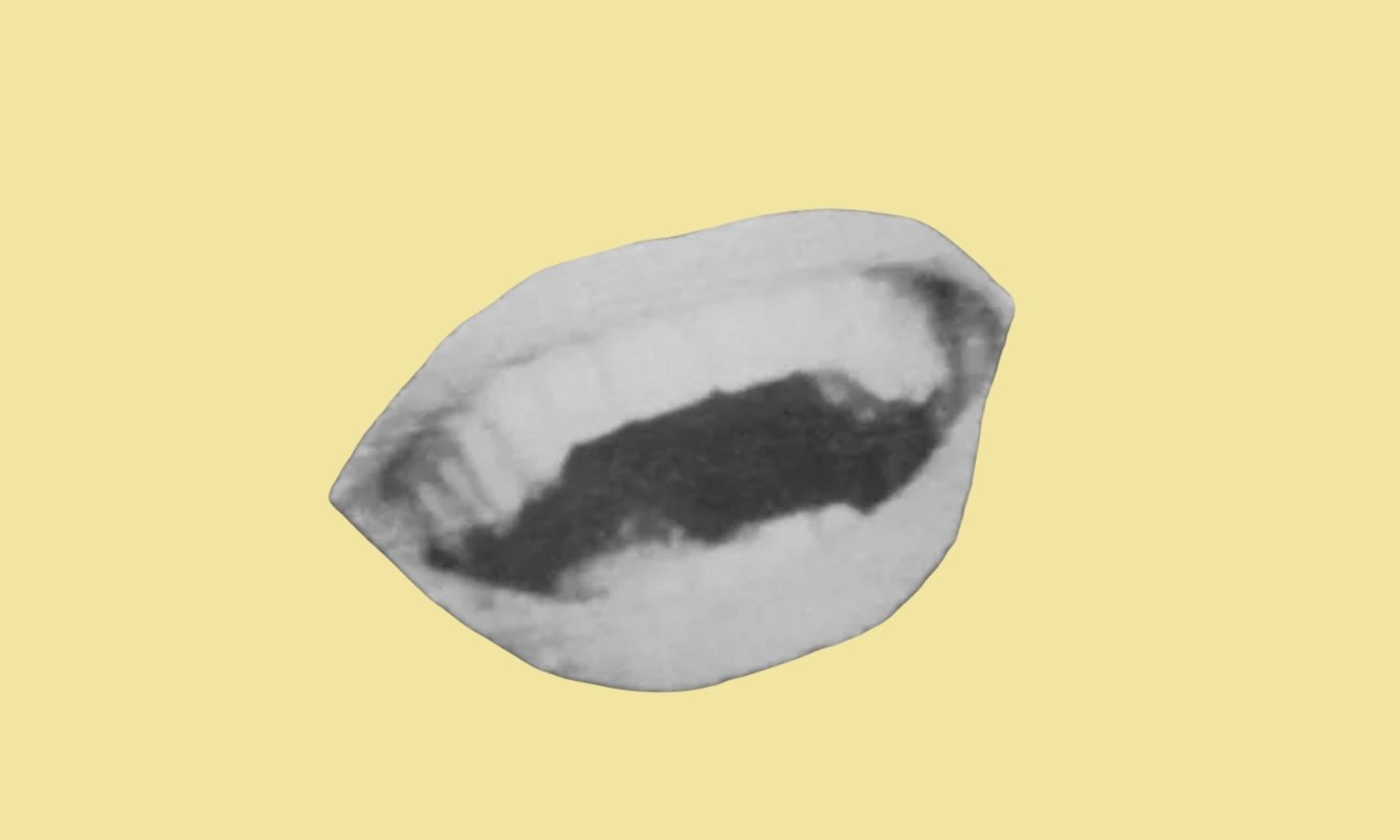 Bienestar
