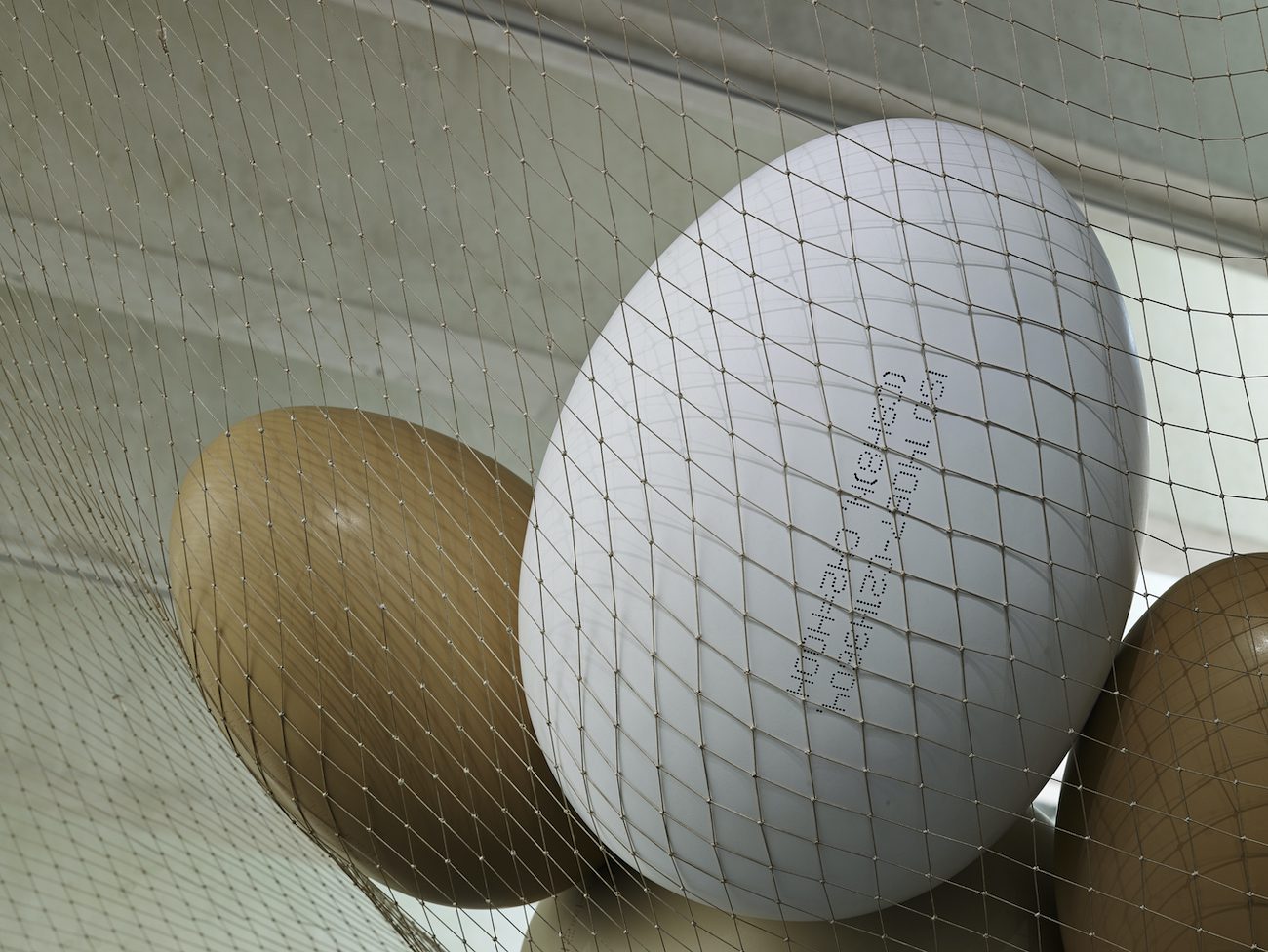 Detalle huevos de basura III (2016)