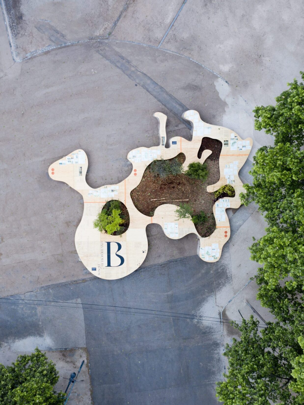 Derecho al bosque (en la ciudad)