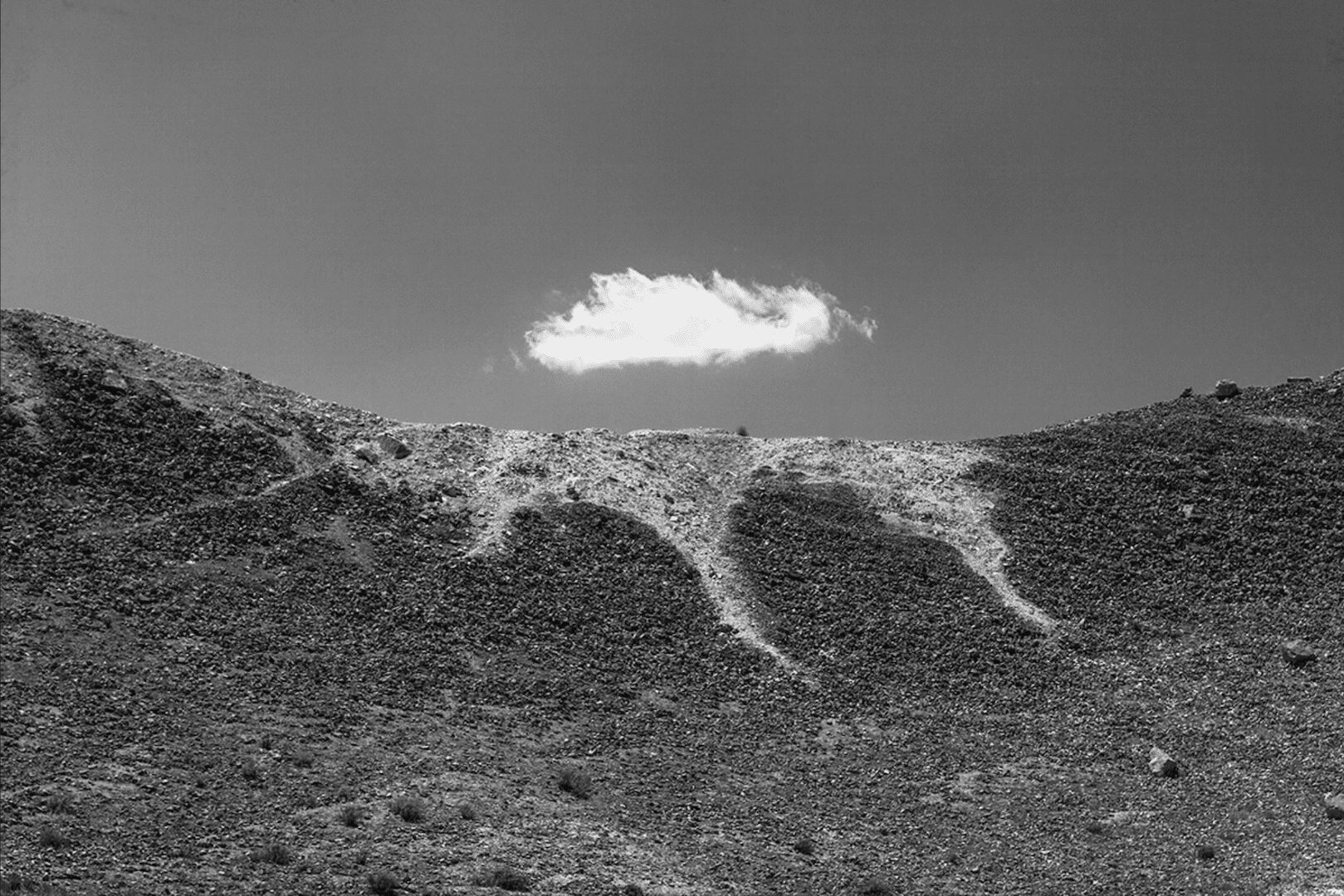Zied Ben Romdhane