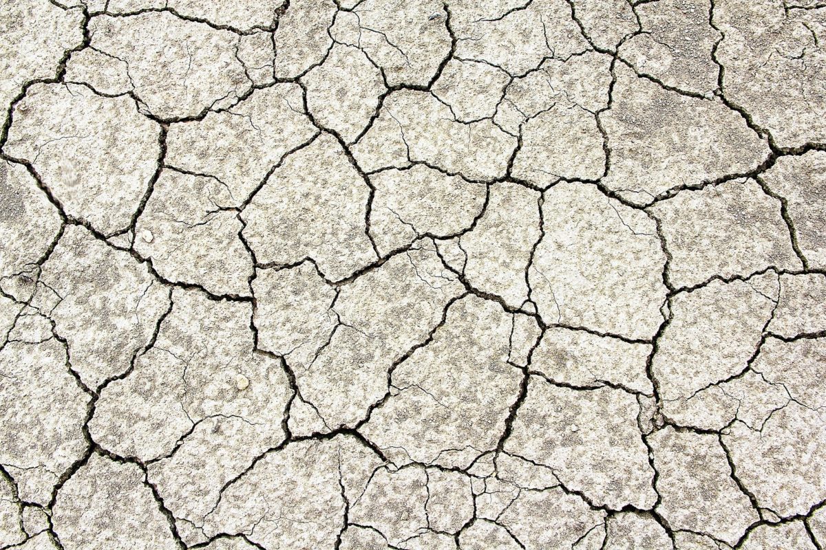 España ante un riesgo real de desertificación