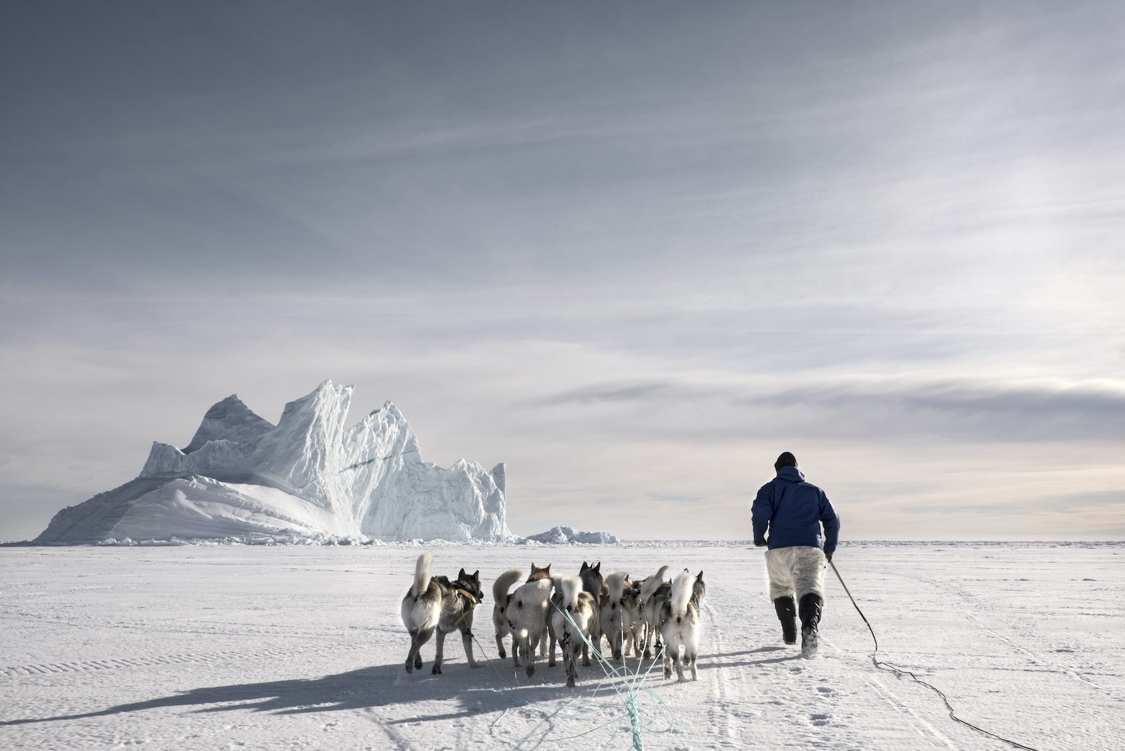 Inuit entrenando a sus perros, Groenlandia (2015)