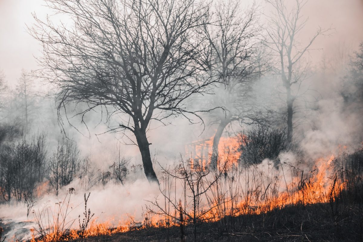 ¿Por qué ahora hay más incendios y son más peligrosos?