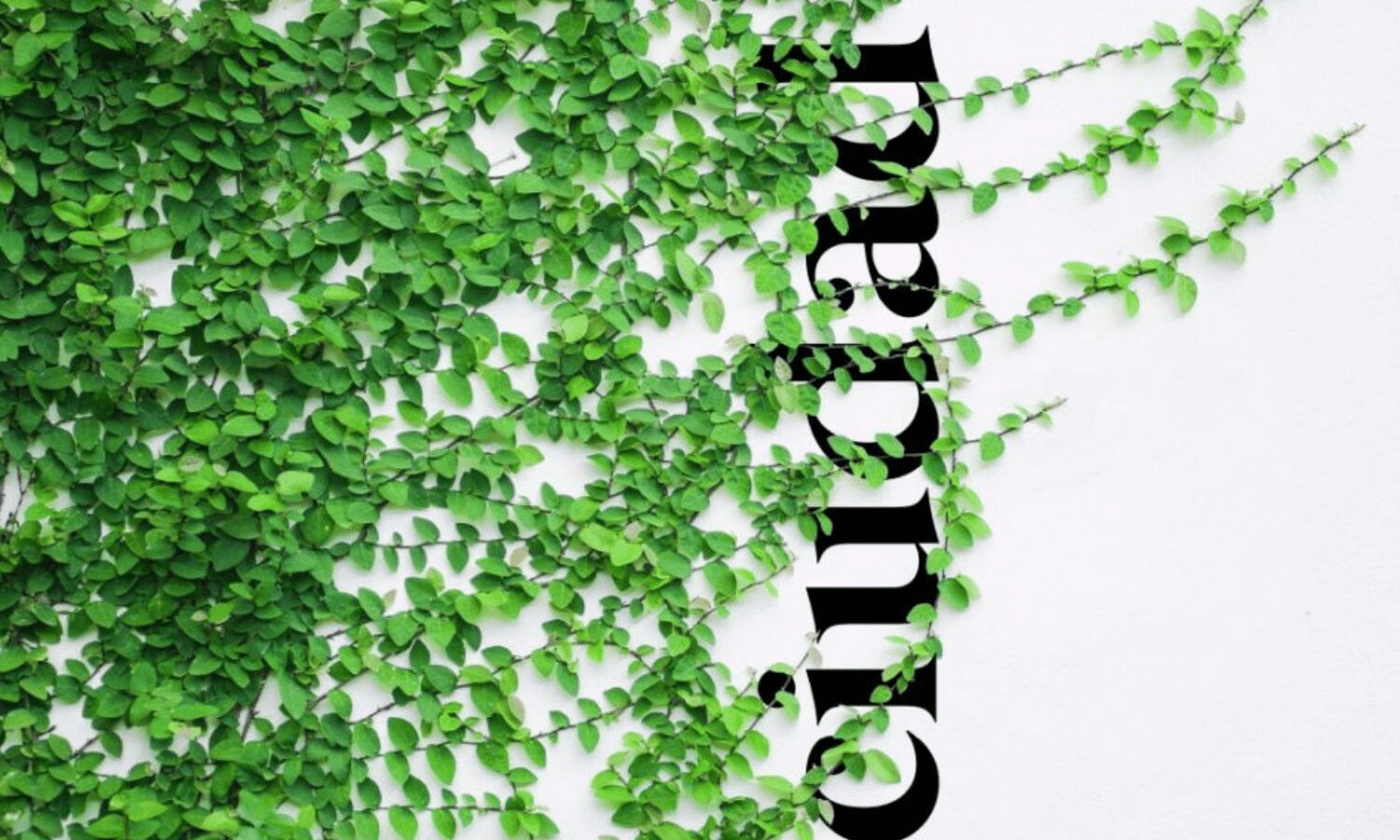 La crisis de identidad ‘rurbana’