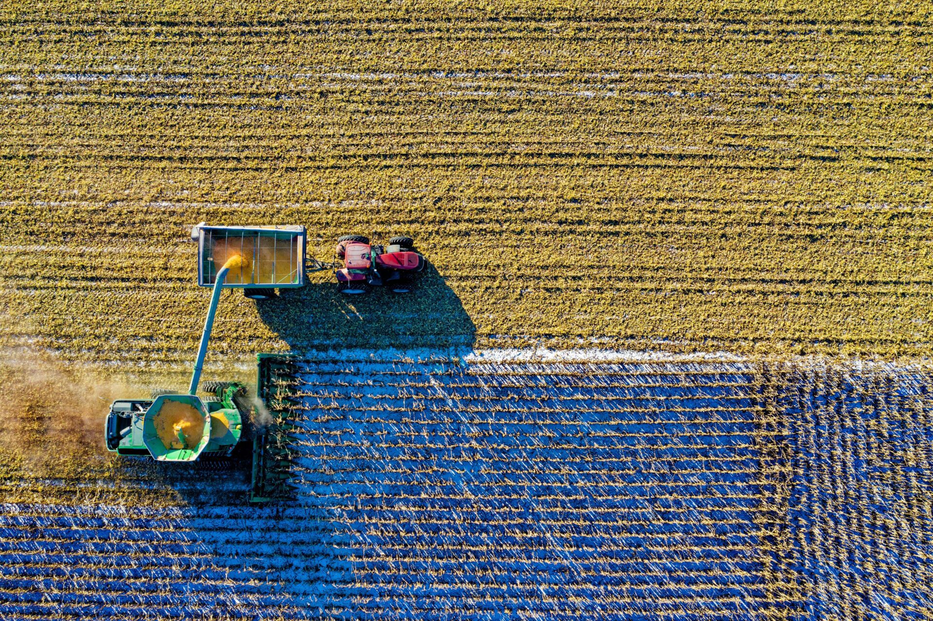 La importancia del mundo rural en la reconstrucción pospandemia de España