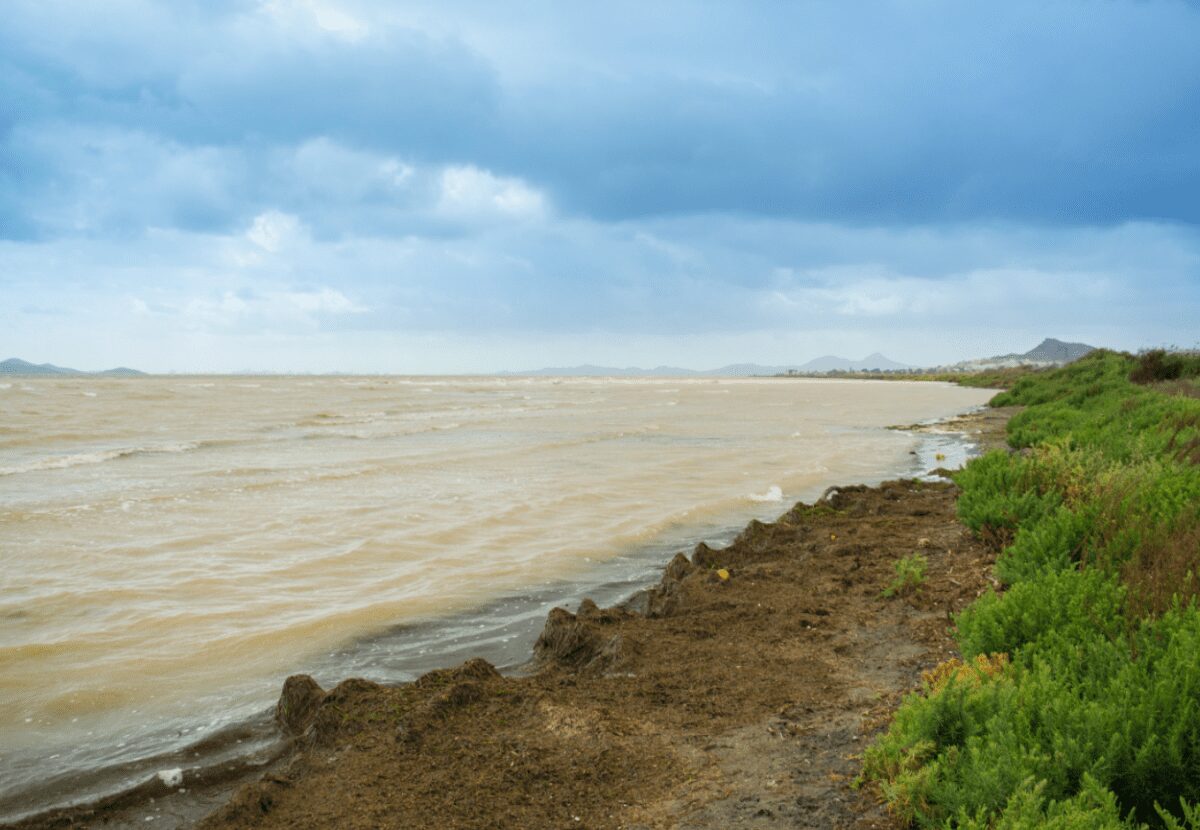 Mar Menor: historia de un colapso ambiental
