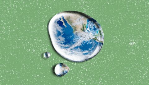 Recuperación verde: la ciencia como motor de cambio