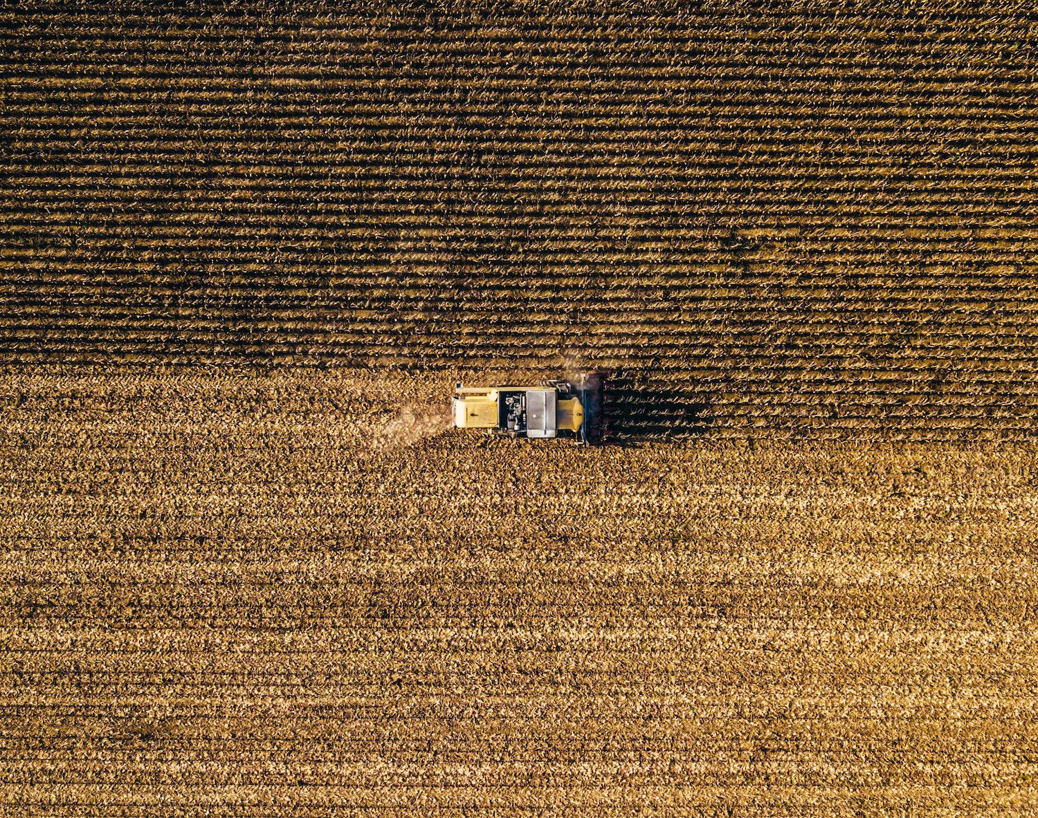 No todo lo ‘bio’ es ‘eco’: viaje por un laberinto de etiquetas