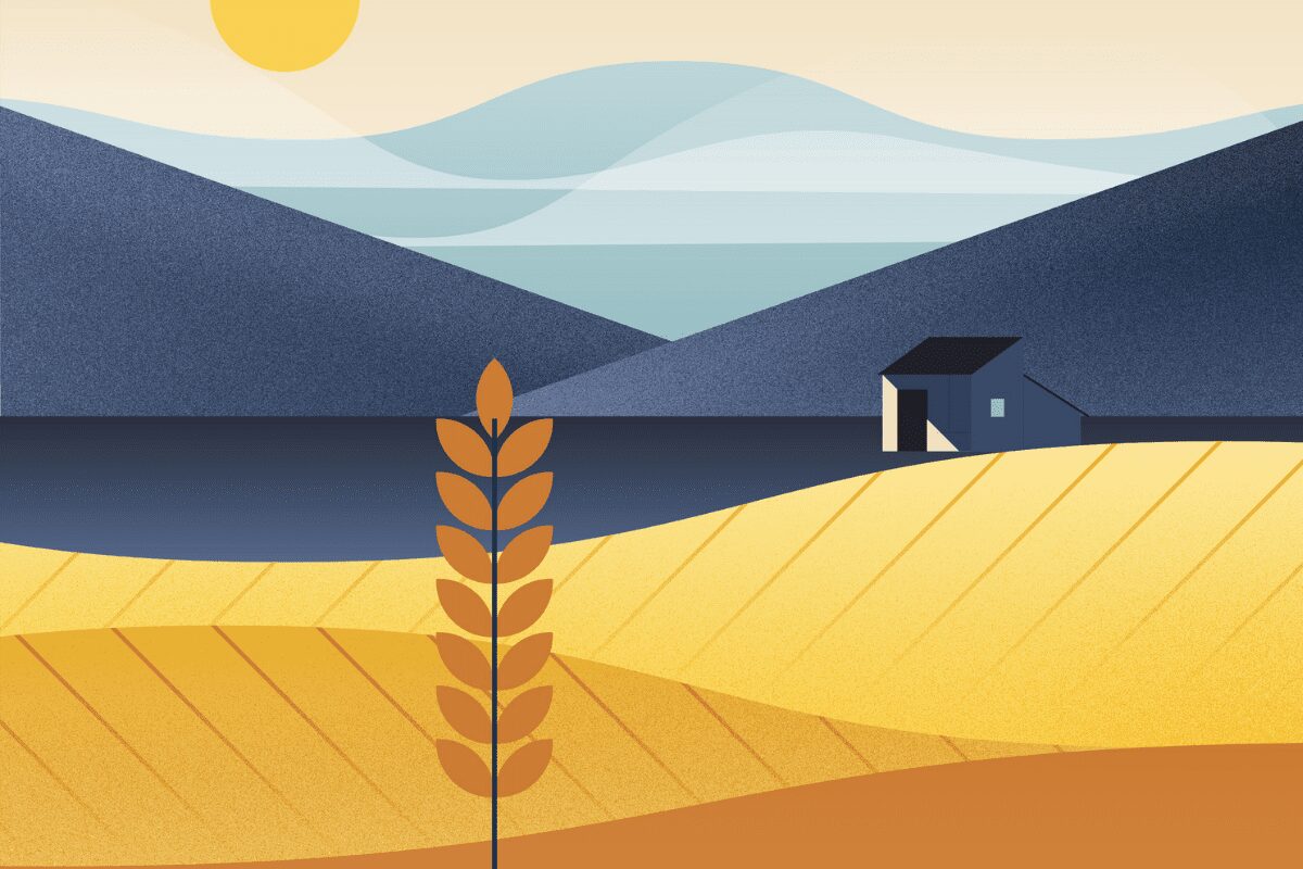 El suelo vivo para la alimentación del futuro